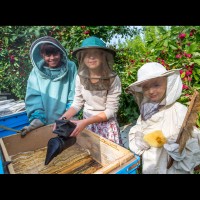 Kleine Imker c Mordolff